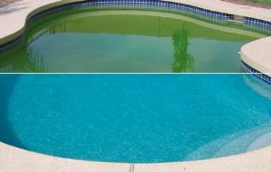 piscina de agua verde
